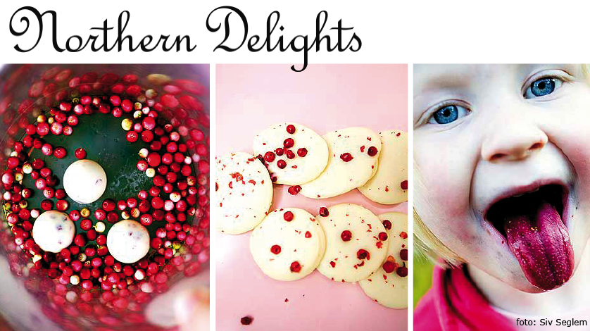 Northern Delights